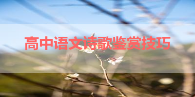 高中语文诗歌鉴赏技巧 