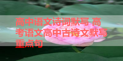 高中语文诗词默写 高考语文高中古诗文默写重点句 