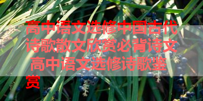 高中语文选修中国古代诗歌散文欣赏必背诗文 高中语文选修诗歌鉴赏
