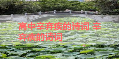 高中辛弃疾的诗词 辛弃疾的诗词