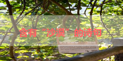 含有“沙漠”的诗句 