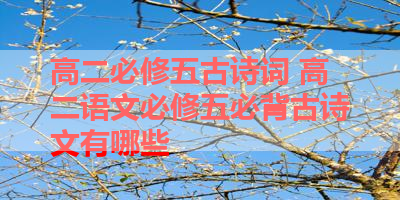 高二必修五古诗词 高二语文必修五必背古诗文有哪些 