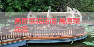 高原菜花诗词 高原菜花香