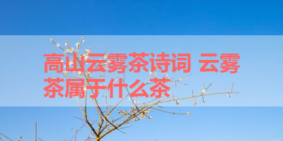 高山云雾茶诗词 云雾茶属于什么茶
