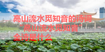 高山流水觅知音的诗词 “高山流水觅知音”全诗是什么 