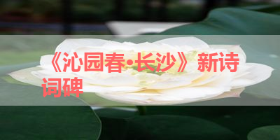《沁园春·长沙》新诗词碑 