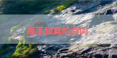 高手寂寞的诗词 