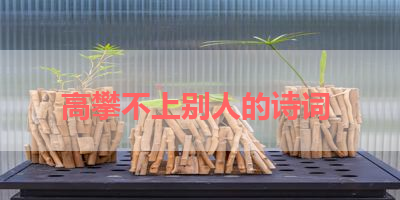 高攀不上别人的诗词 