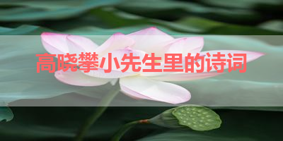高晓攀小先生里的诗词 