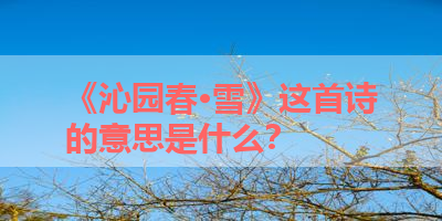 《沁园春·雪》这首诗的意思是什么？ 
