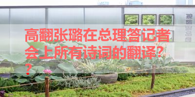 高翻张璐在总理答记者会上所有诗词的翻译？？ 