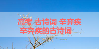 高考 古诗词 辛弃疾 辛弃疾的古诗词