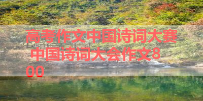 高考作文中国诗词大赛 中国诗词大会作文800 