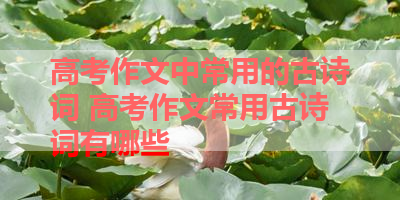 高考作文中常用的古诗词 高考作文常用古诗词有哪些 