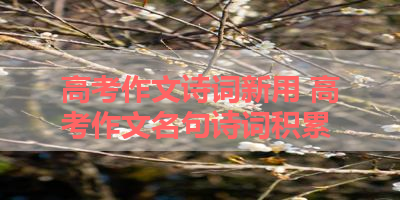 高考作文诗词新用 高考作文名句诗词积累