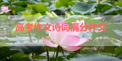 高考作文诗词满分作文 