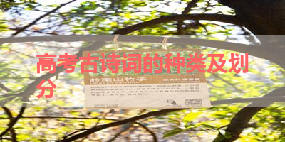 高考古诗词的种类及划分 