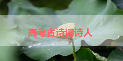 高考古诗词诗人 