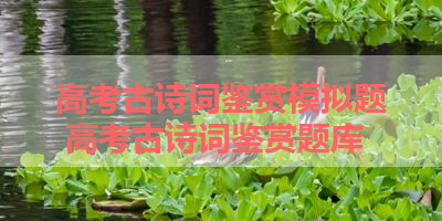 高考古诗词鉴赏模拟题 高考古诗词鉴赏题库