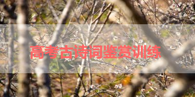 高考古诗词鉴赏训练 