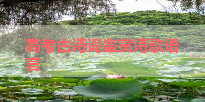 高考古诗词鉴赏诗歌语言 