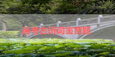 高考古诗词鉴赏题 