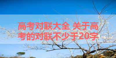 高考对联大全 关于高考的对联不少于20字