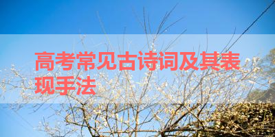 高考常见古诗词及其表现手法 