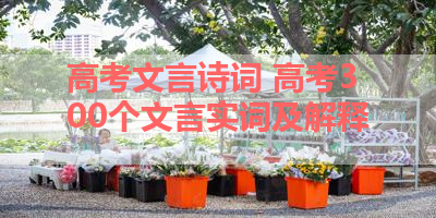 高考文言诗词 高考300个文言实词及解释 
