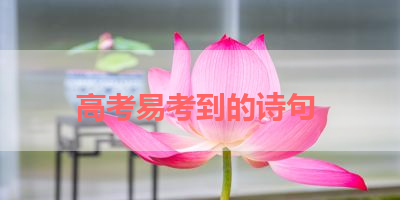 高考易考到的诗句 