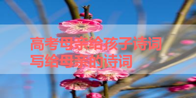 高考母亲给孩子诗词 写给母亲的诗词