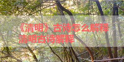 《清明》古诗怎么解释 清明古诗解释