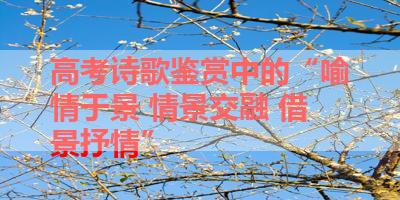 高考诗歌鉴赏中的“喻情于景 情景交融 借景抒情” 