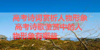 高考诗词赏析人物形象 高考诗歌鉴赏中的人物形象有哪些 