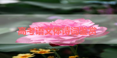 高考语文体诗词鉴赏 