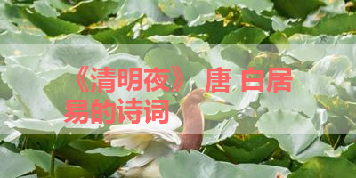 《清明夜》 唐 白居易的诗词 
