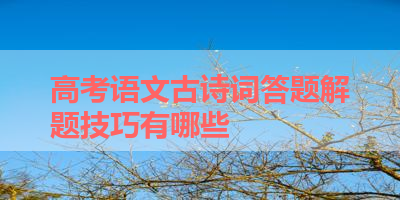 高考语文古诗词答题解题技巧有哪些 