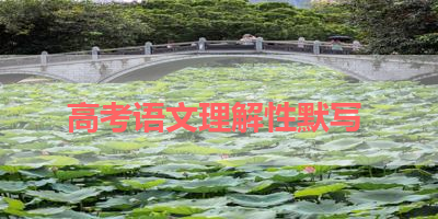 高考语文理解性默写 
