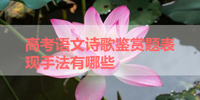 高考语文诗歌鉴赏题表现手法有哪些 