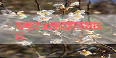 高考语文诗词题答题技巧 