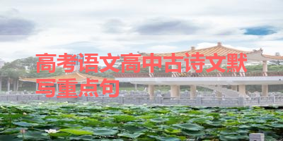 高考语文高中古诗文默写重点句 