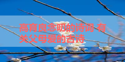 高育良念叨的诗词 有关父母爱的古诗 
