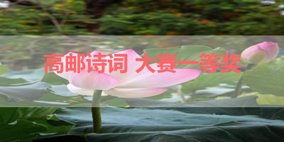 高邮诗词 大赛一等奖 