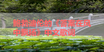 鲍勃迪伦的《答案在风中飘扬》中文歌词 