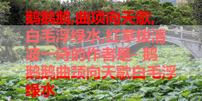 鹅鹅鹅,曲项向天歌,白毛浮绿水,红掌拨清波一诗的作者是- 鹅鹅鹅曲颈向天歌白毛浮绿水