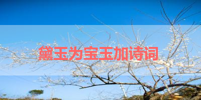 黛玉为宝玉加诗词 