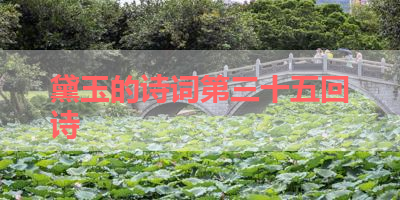 黛玉的诗词第三十五回诗 
