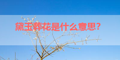 黛玉葬花是什么意思？ 