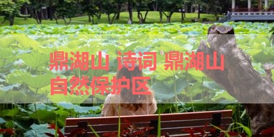 鼎湖山 诗词 鼎湖山自然保护区