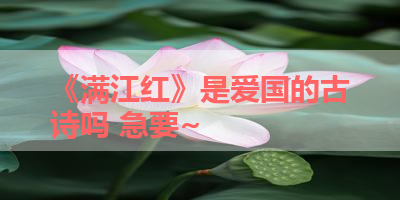 《满江红》是爱国的古诗吗 急要~ 